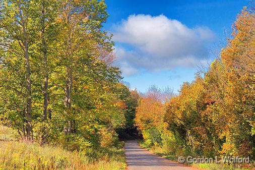 Autumn Road_17120.jpg - Photographed near Lindsay, Ontario, Canada.